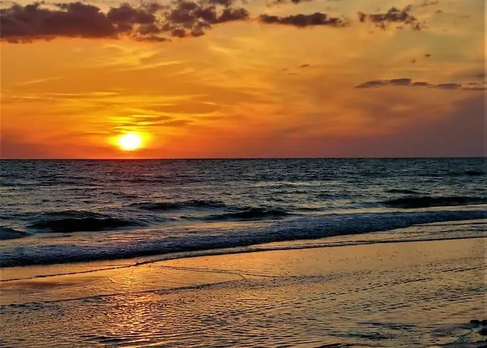 Dolphin Watch * Clearwater Beach